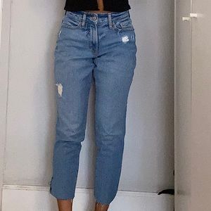 Curvy High Rise Straight-Leg Jeans
